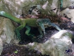 Haus des Meeres 4.02.2026